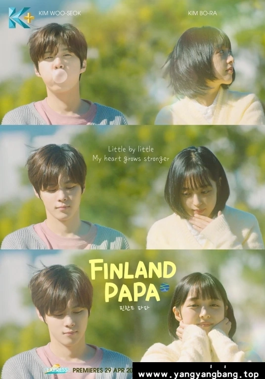 韩剧《芬兰爸爸/핀란드 파파》