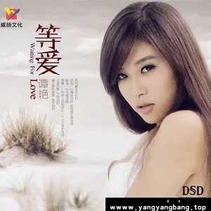 无损《谭艳所有全部专辑歌曲音乐单曲合集》