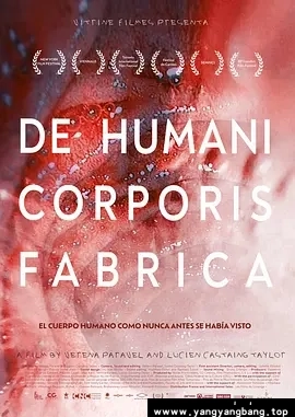 纪录片《人体结构/De Humani Corporis Fabrica》