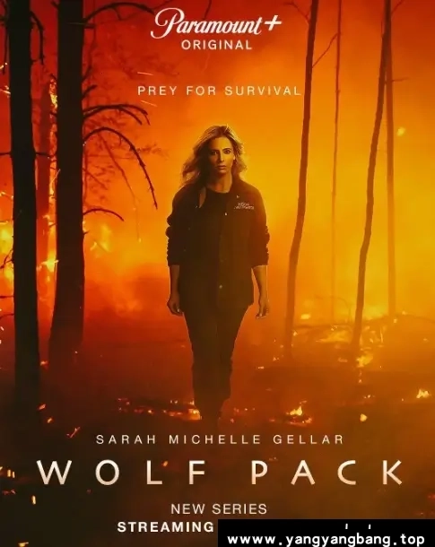 美剧《狼群/Wolf Pack》