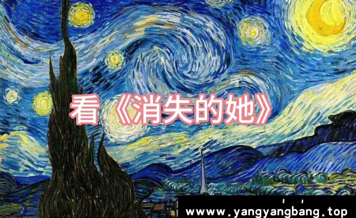 国产剧《消失的她/Lost in the stars》
