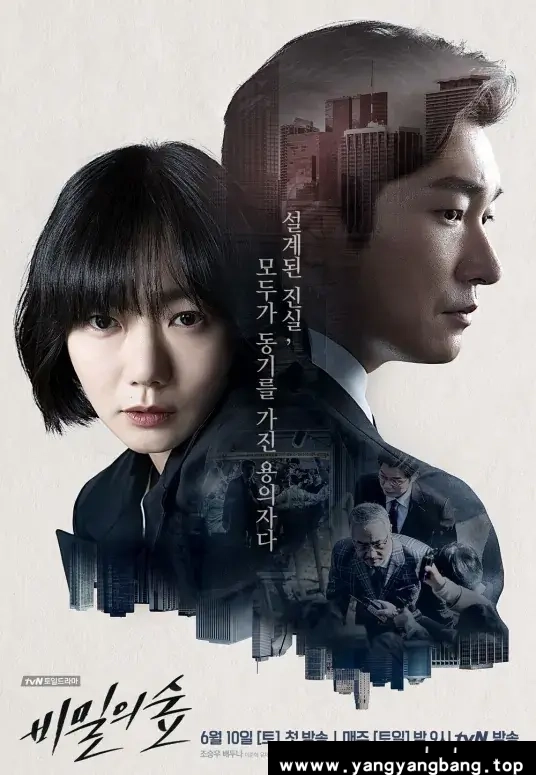 韩剧《秘密森林/비밀의 숲/Forest of Secrets》全1-2季