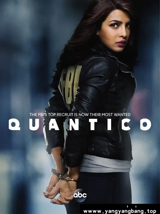 美剧《谍网/Quantico》全1-3季