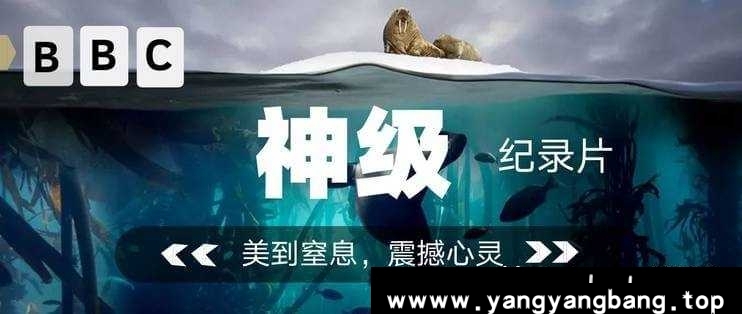 纪录片《4K原盘记录片51部》