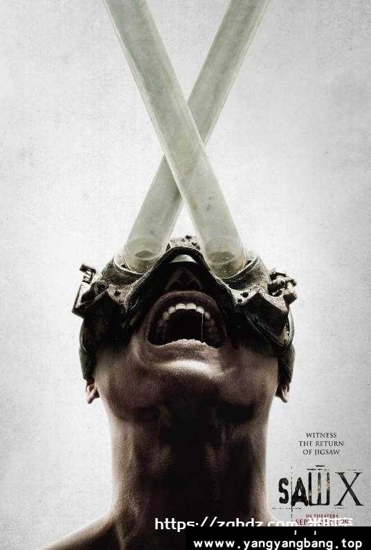 美剧《电锯惊魂10/Saw X》1080P超高清电影视频英语中字[MP4/2.97GB]云网盘下载，已做压缩处理，百度网盘下载后解压使用，文件大小2.97GB。