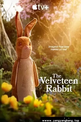 英国剧《天鹅绒兔子/The Velveteen Rabbit》1080P超高清电影视频[MP4/675.6MB]百度云网盘下载。已做压缩处理，百度网盘下载后解压使用。文件大小675.6MB。