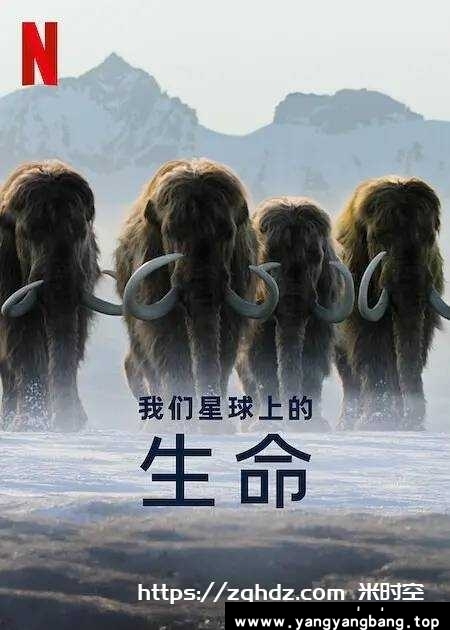 纪录片《我们星球上的生命/Life on Our Planet》全集1080P超高清视频合集[MP4/20.36GB]百度云网盘下载，英语发音中文字幕，已做压缩处理，百度网盘下载后解压使用，文件大小20.36GB。