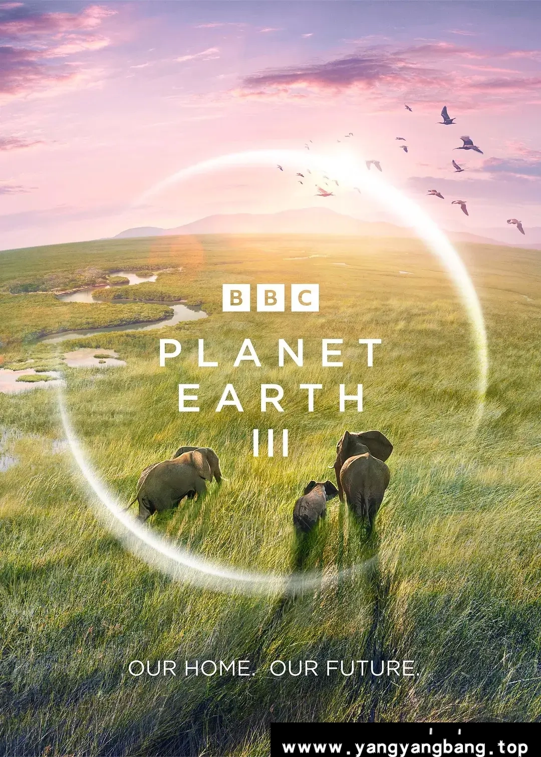 纪录片《地球脉动/Planet Earth》全1-3季4K/1080P超高清电影视频合集英语中字[MP4/158.59GB]百度云网盘下载，前两季中英双音轨，中文字幕，需要在播放器中切换对应音轨和字幕。已做压缩处理，百度网盘下载后解压使用，文件大小158.59GB。