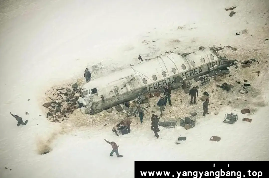 美剧《绝境盟约/La sociedad de la nieve》1080P超高清电影视频[MP4/10.37GB]云网盘下载，已做压缩处理，云网盘下载后解压使用，文件大小10.37GB。