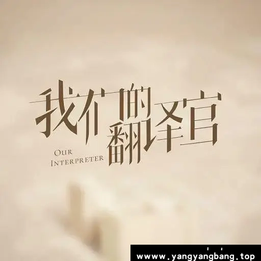 电视剧《我们的翻译官》：揭秘娓娓动人的翻译故事