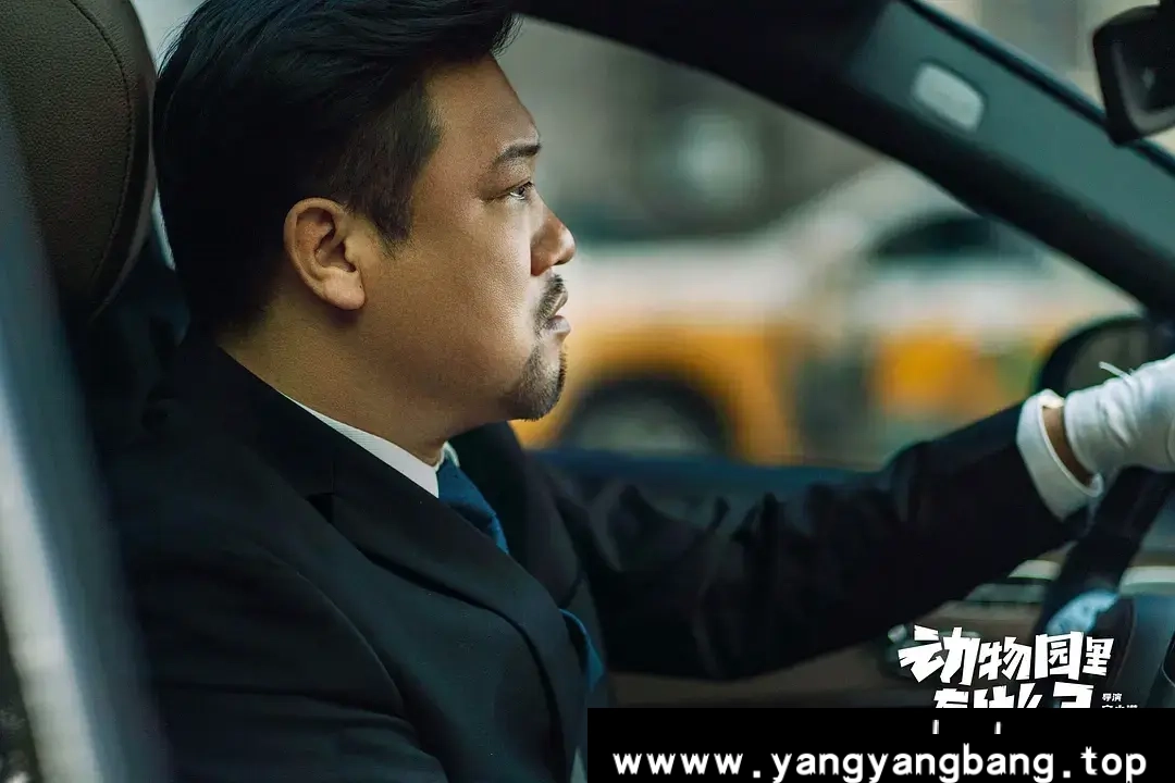 电影《动物园里有什么？》：奇妙冒险，笑中有泪