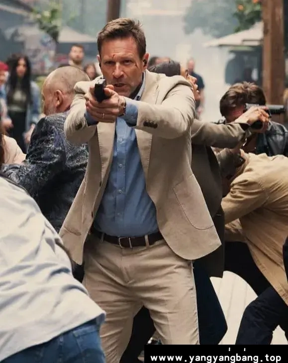 美剧《谍影追凶》百度云网盘下载