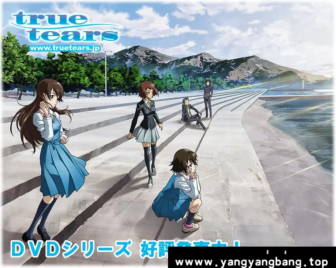 动漫/动画《真实之泪 true tears》