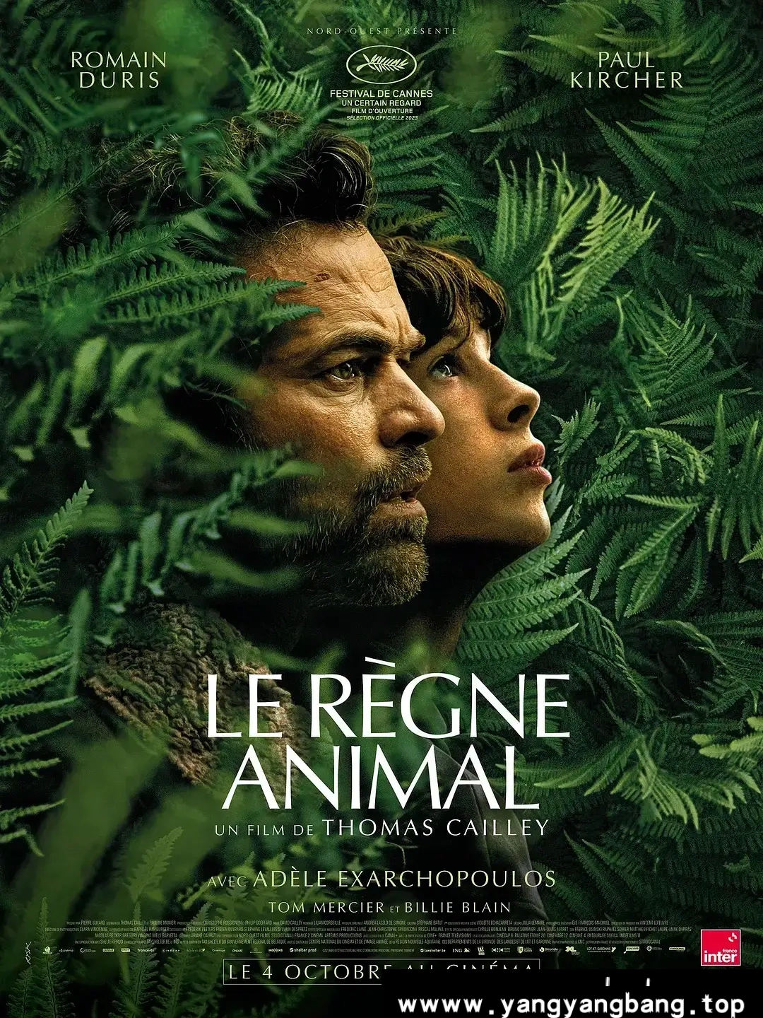 法剧《动物王国》1080P超高清电影视频法音中字[MP4/3.37GB]百度云网盘下载，法语发音中文字幕，已做压缩处理，百度网盘下载后解压使用，文件大小3.37GB。