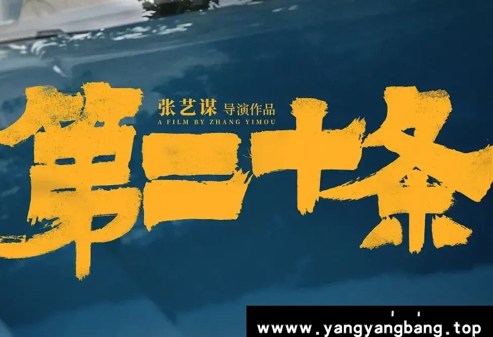 国产剧《第二十条/Article 20》高清电影视频[MP4/6.67GB]百度云网盘下载，TC版已做压缩处理，百度网盘下载后解压使用，文件大小6.67GB。