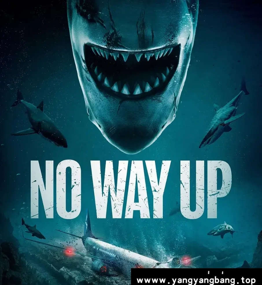 美剧《深渊鲨难/No Way Up》1080P超高清电影视频英音中字[MP4/3.13GB]百度云网盘下载，英语发音中文字幕，已做压缩处理，百度网盘下载后解压使用，文件大小3.13GB。