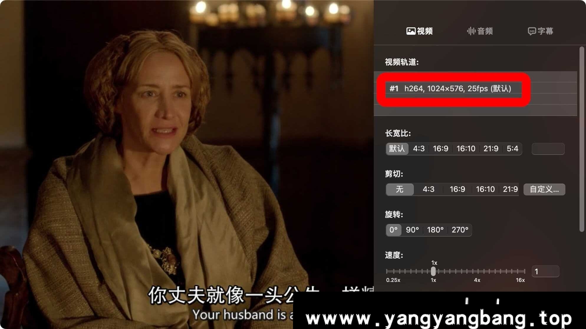 美剧《白王后/The White Queen》全10季高清电影视频英语中字[MP4/6.98GB]百度云网盘下载，英语发音中文字幕，已做压缩处理，百度网盘下载后解压使用，文件大小6.98GB。