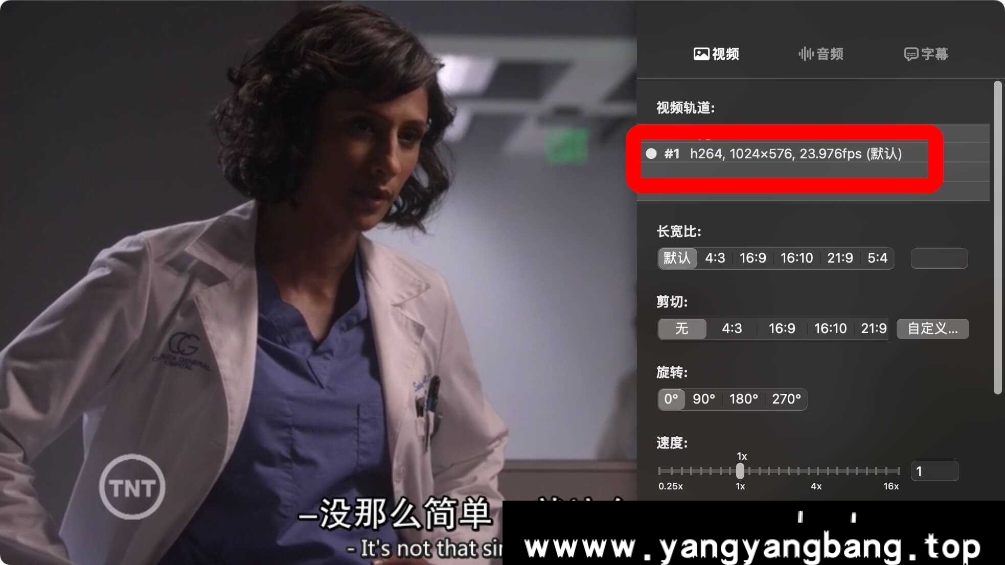 美剧《周一清晨/名切尔西综合医院/Chelsea General》全集视频合集[MP4/5.91GB]云网盘下载，英语发音中文字幕，已做压缩处理，云网盘下载后解压使用，文件大小5.91GB。