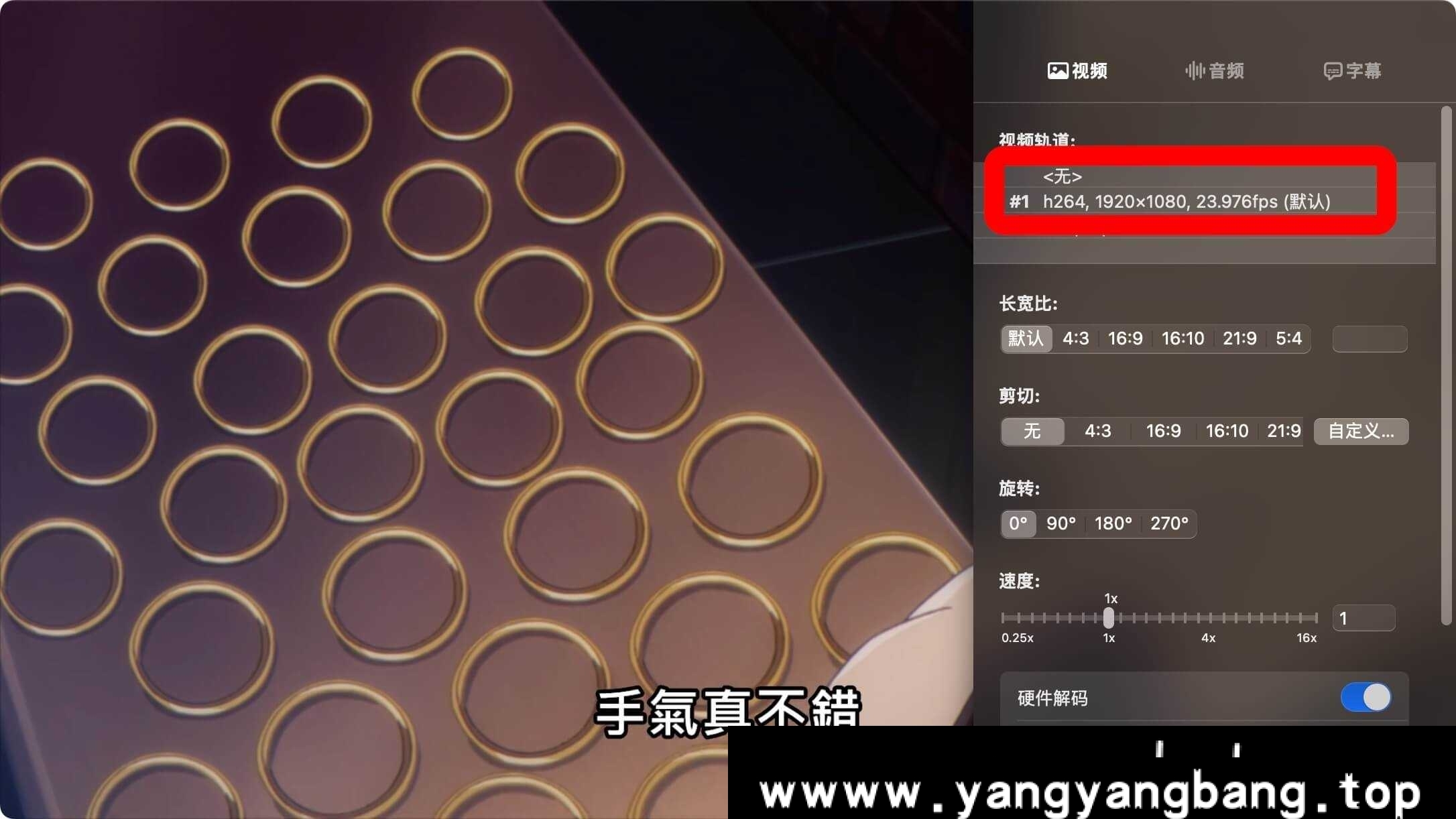 达尔文游戏在线看下载