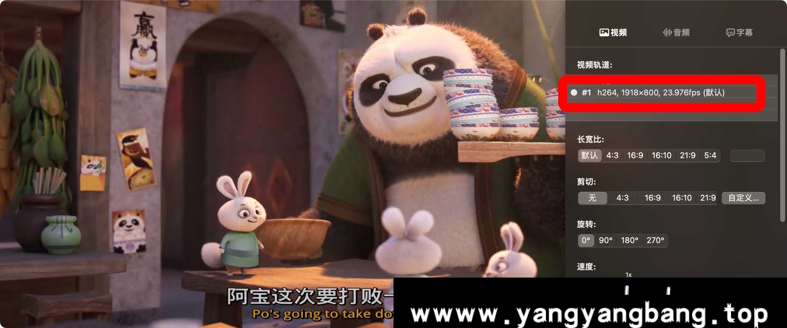 动画《功夫熊猫4》