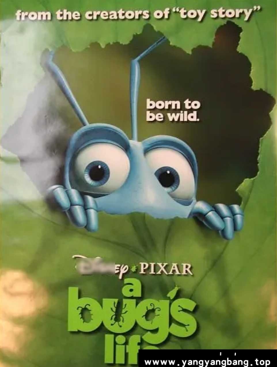 动画《虫虫危机/A Bug's Life(1998)》1080P[MP4/6.92GB]云网盘下载，已做压缩处理，云网盘下载后解压使用，文件大小6.92GB。