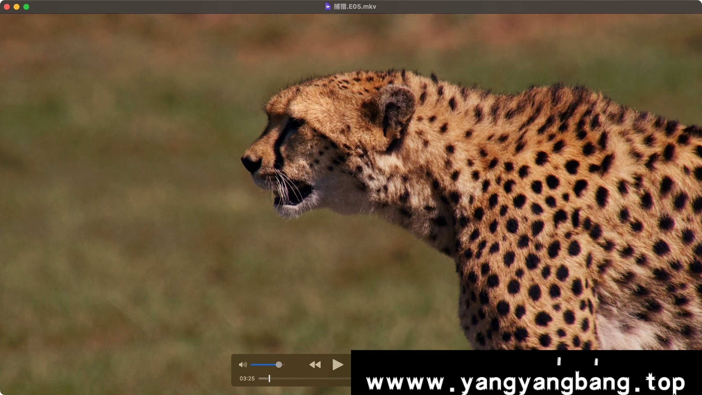 《BBC纪录片超高清70部合集》[MP4/775GB]云网盘下载，已做压缩处理，云网盘下载后解压使用，文件大小775GB。