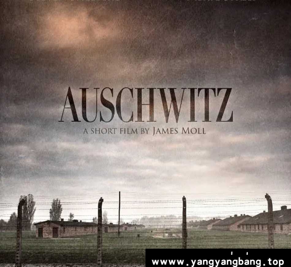 纪录片《奥斯维辛集中营》[MP4/1.21GB]云网盘下载，已做压缩处理，云网盘下载后解压使用，文件大小1.21GB。