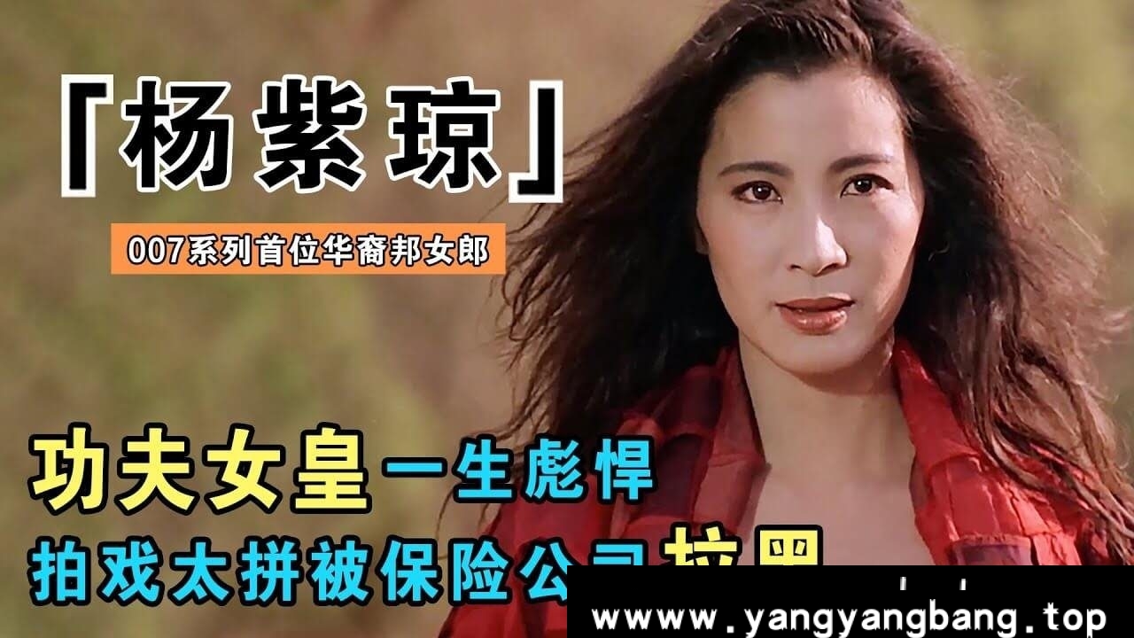 国产剧《杨紫琼》29部影视作品合集[MP4/233GB]云网盘下载，包含电影29部影视作品，已做压缩处理，云网盘下载后解压使用，文件大小233GB，目录见下文。