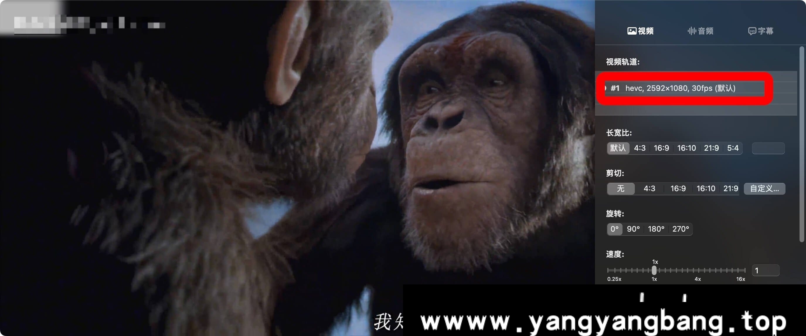 美剧《猩球崛起：新世界》[MP4/10GB]百度云网盘下载，中文字幕，已做压缩处理，百度网盘下载后解压使用，文件大小10GB。