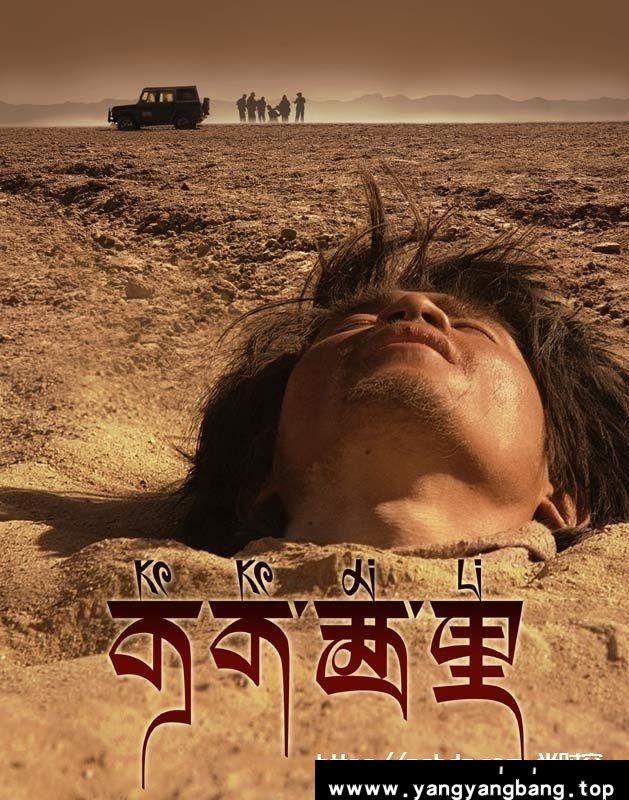 国产剧《可可西里(2004)》电影视频[MP4/7.7GB]百度云网盘下载，中英文双字幕，已做压缩处理，百度网盘下载后解压使用，文件大小7.7GB。