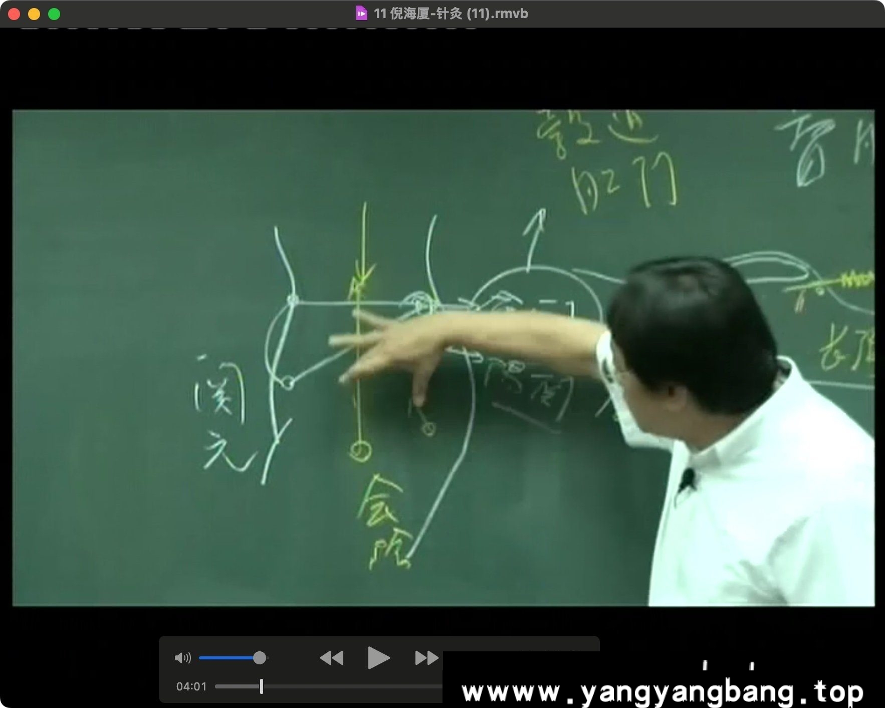 《倪海厦人纪-针灸》全集视频学习资料[RMVB/16GB]百度云网盘下载，共87集，RMVB视频格式，已做压缩处理，百度网盘下载后解压使用，文件大小16GB，目录见下文。