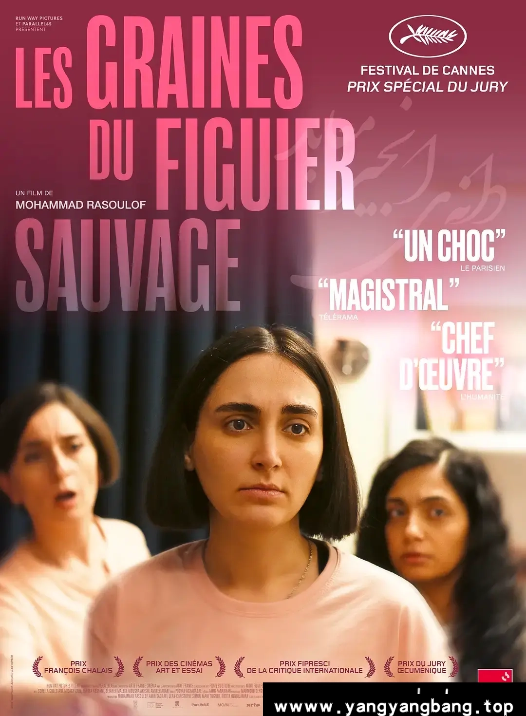 法国剧,神圣无花果之种,美剧,美剧天堂,美剧下载,美剧在线,美剧下载网站,美剧app,4K