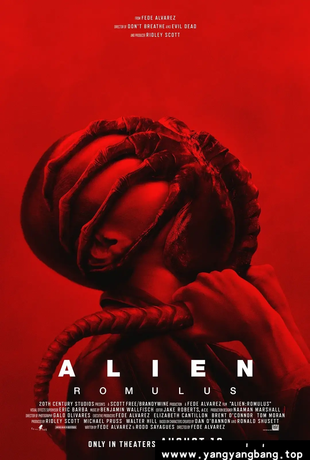 异形:夺命舰,Alien: Romulus,美剧,美剧天堂,美剧下载,美剧在线,美剧下载网站,美剧app,4K