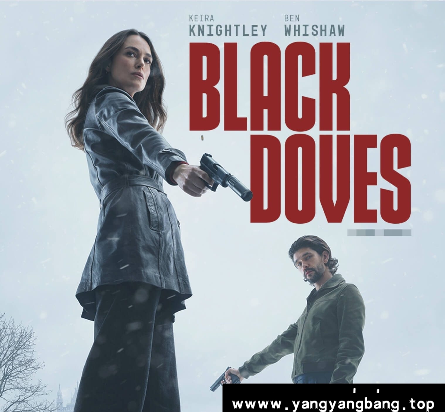 英剧《黑鸽第一季/Black Doves Season 1》全6集1080P网盘下载，英语发音中文字幕，已做压缩处理，网盘下载后解压使用，文件大小12.19 GB。