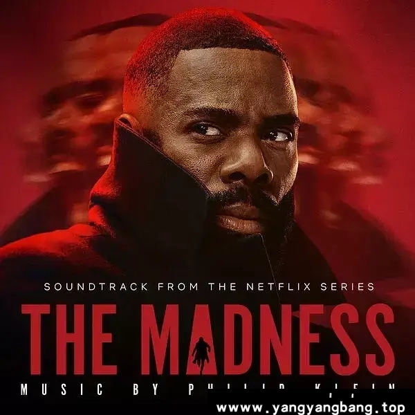 美剧《狂乱世道/The Madness》全8集1080P[MP4/15.98GB]网盘下载，中文字幕，已做压缩处理，网盘下载后解压使用，文件大小15.98GB。