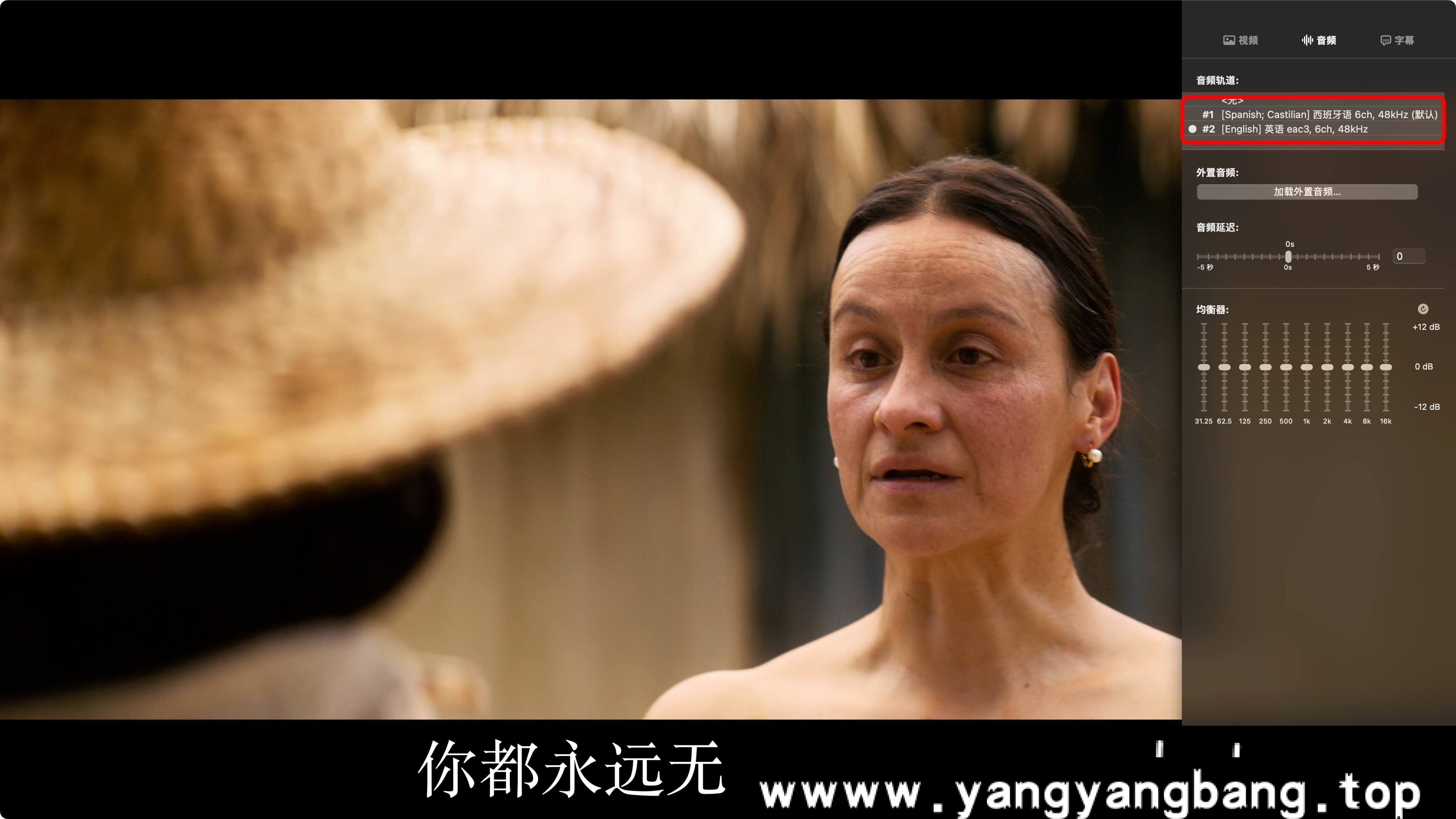 奈飞《百年孤独/百年孤寂》（4K HDR）全集视频合集网盘下载，已做压缩处理，网盘下载后解压使用，文件大小81.71GB。