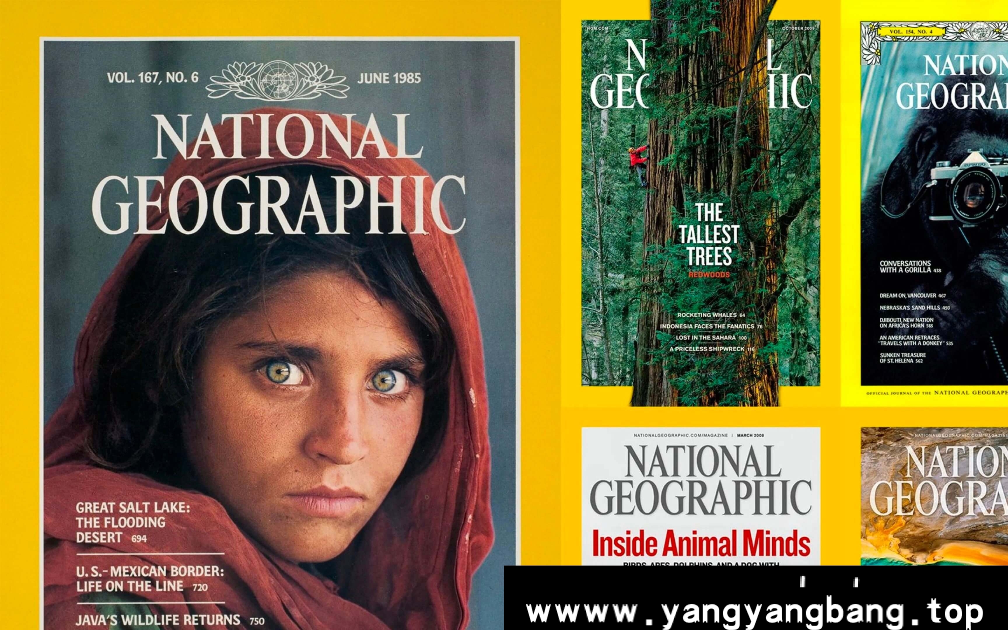 美国版电子书《国家地理杂志》1888-2023合集55.31GB云网盘下载,文件大小55.31GB,PDF格式,已做压缩处理,云网盘下载后解压使用。