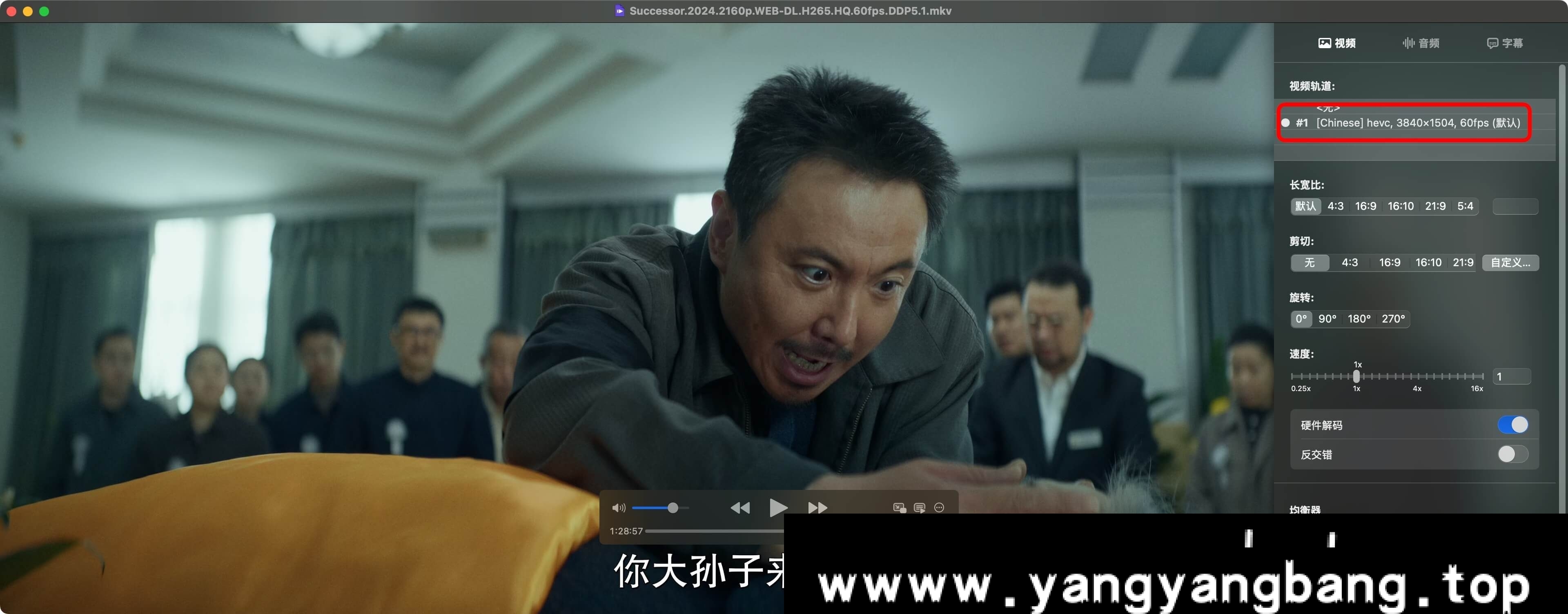 《抓娃娃/Successor》4K 60帧率高码率 杜比音效 云网盘下载