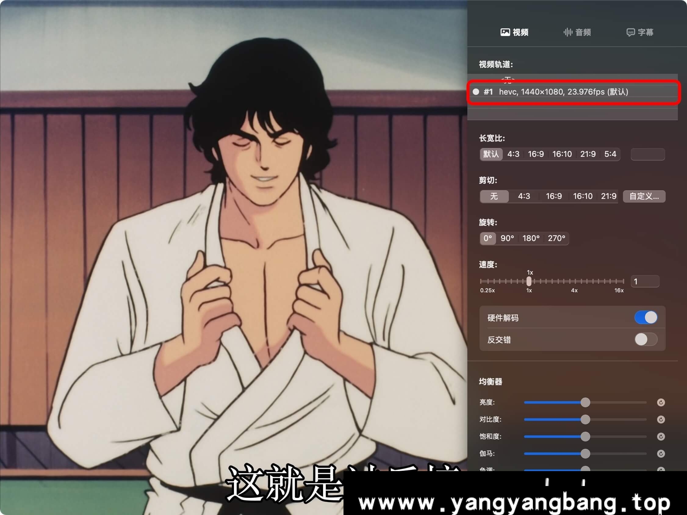 动画《猫眼三姐妹/猫之眼/キャッツ♥アイ/Cat's Eye》全1-2季1080P网盘下载，1080P视频格式，文件大小51GB，已做压缩处理，云网盘下载后解压使用。