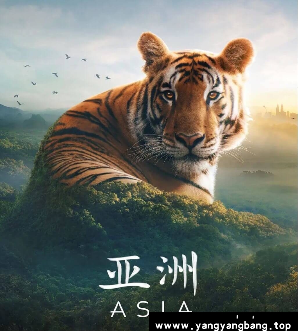 纪录片《亚洲/Asia》全7集4K超高清视频国英双语双字云网盘下载,国英双语配音,默认国语配音,使用播放器切换配音,国英双字幕,文件大小73.11 GB,已做压缩处理,云网盘下载后解压使用。